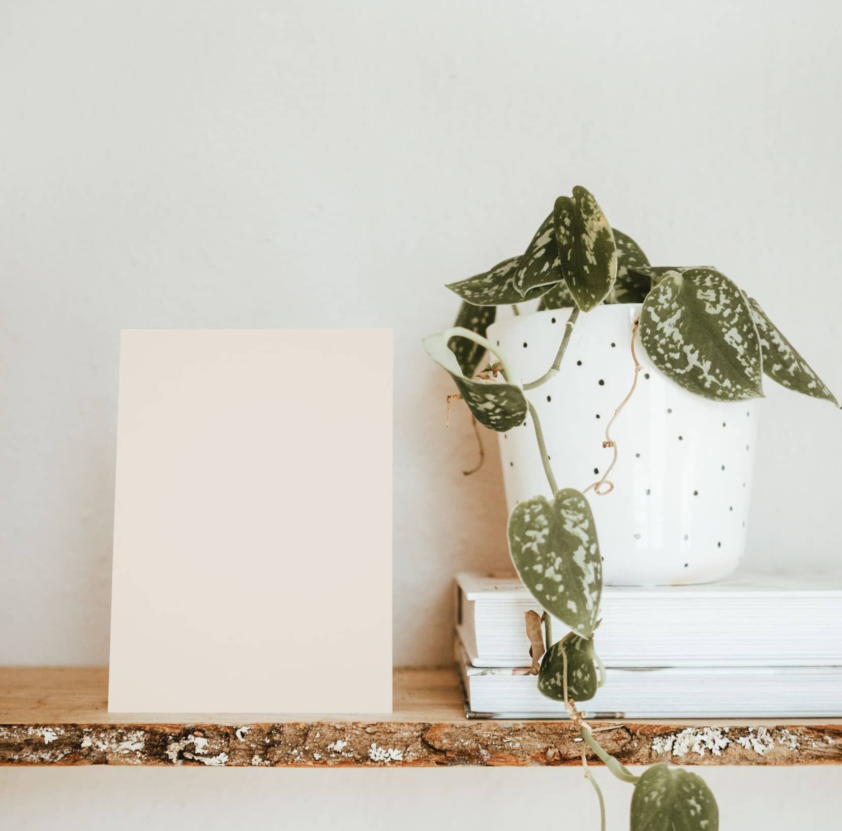 Nuancier échantillons de Beiges