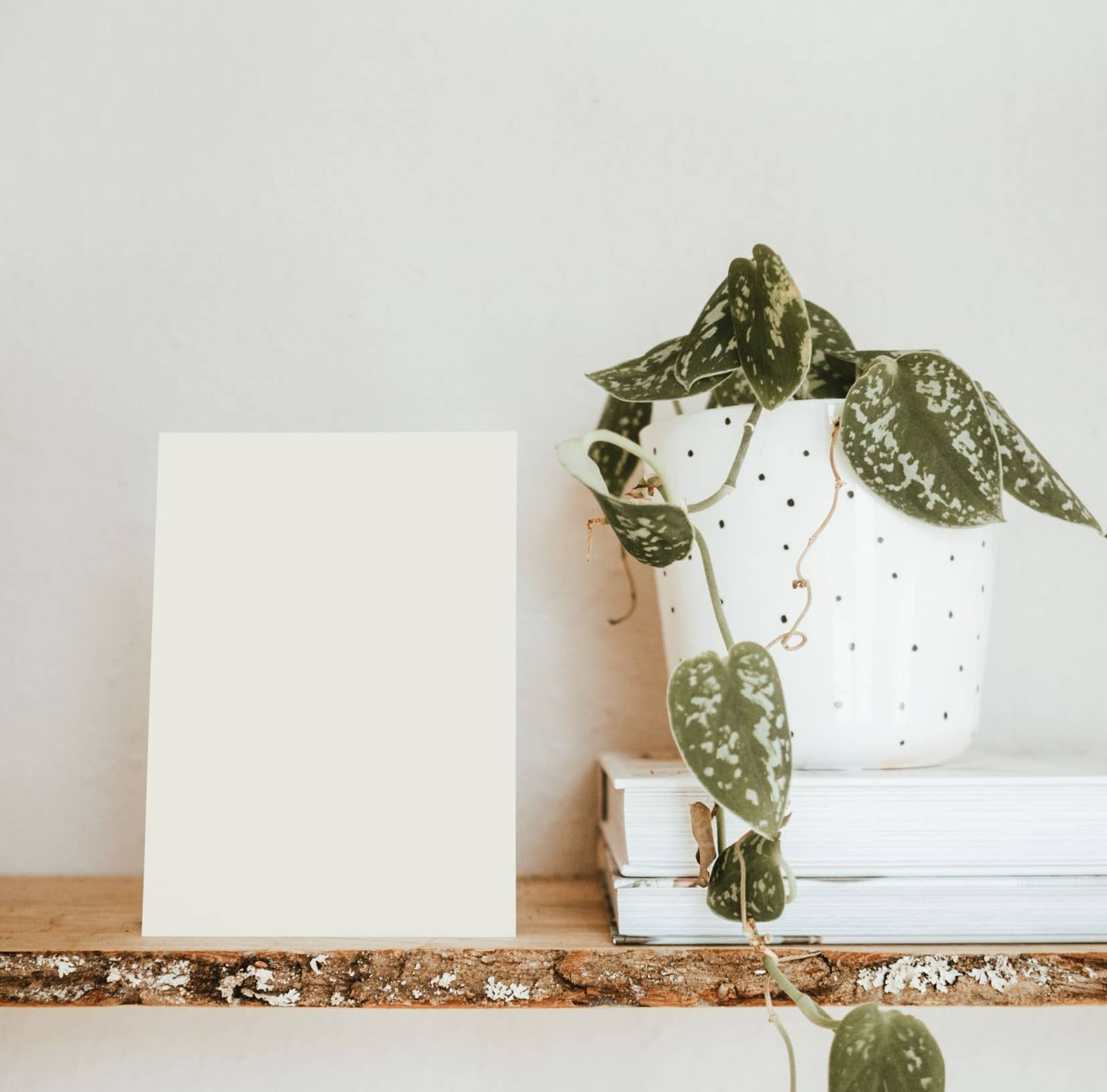 Nuancier échantillons de Blancs