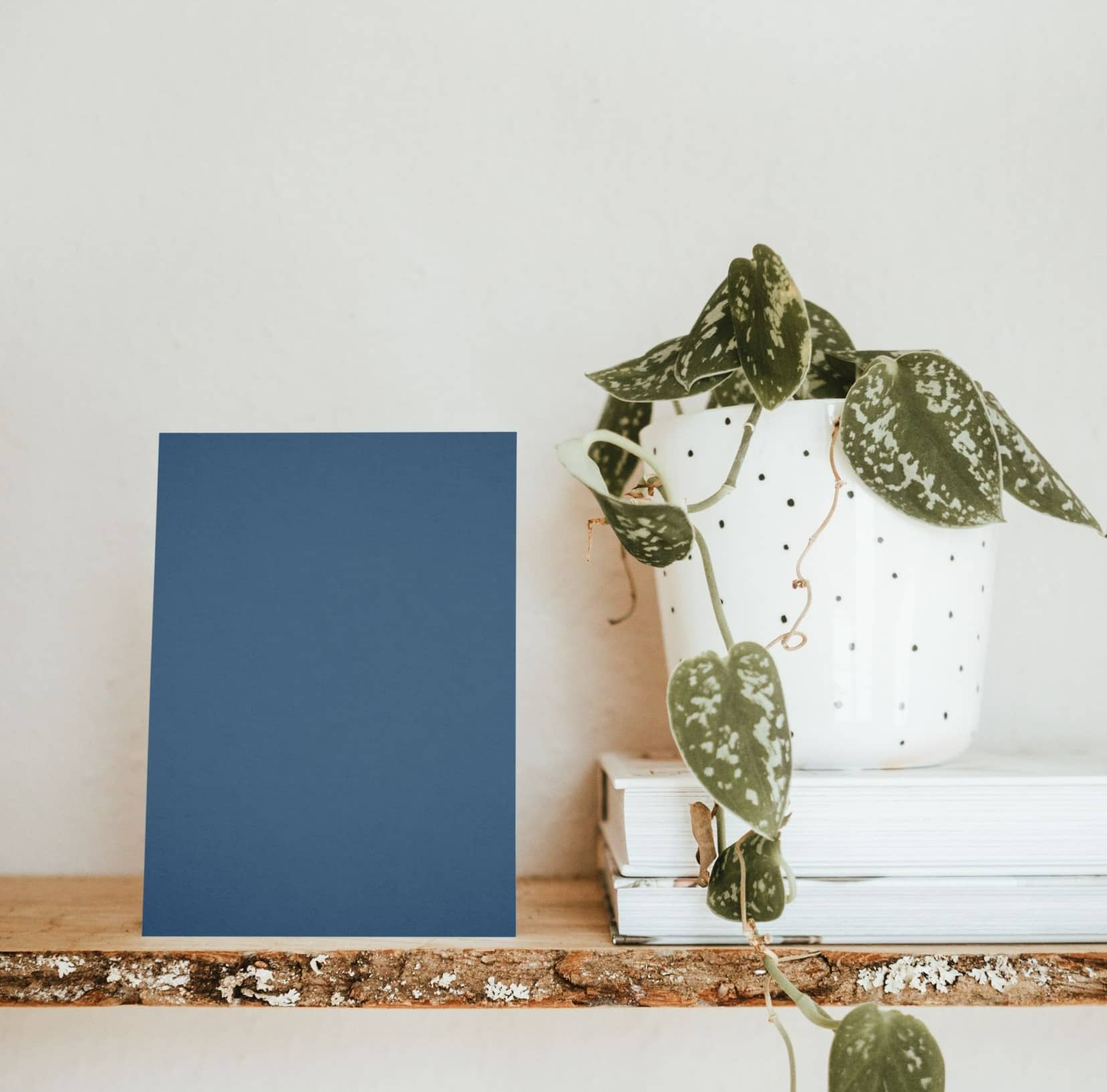 Nuancier échantillons de Bleus