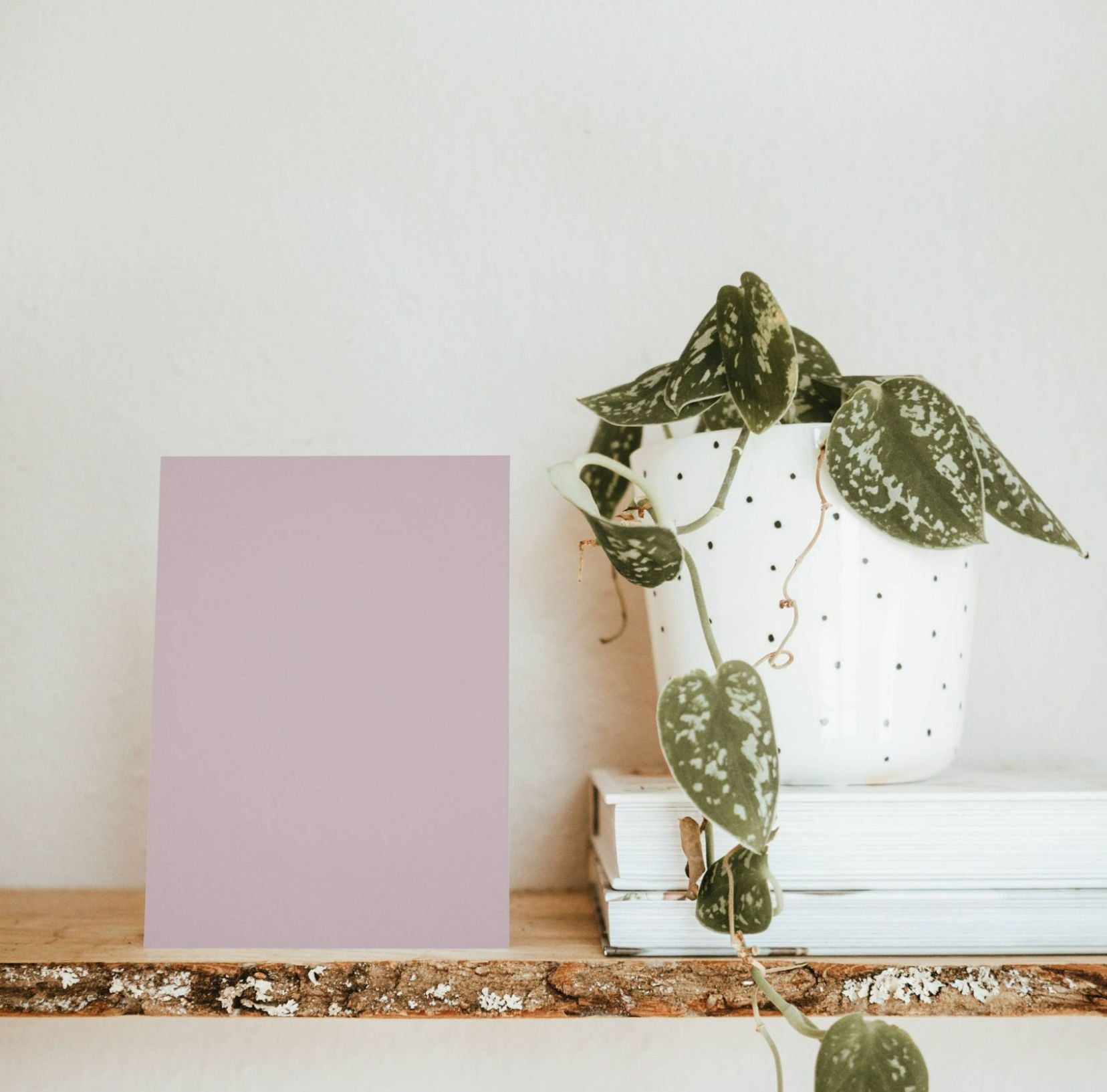 Nuancier échantillons de Mauves