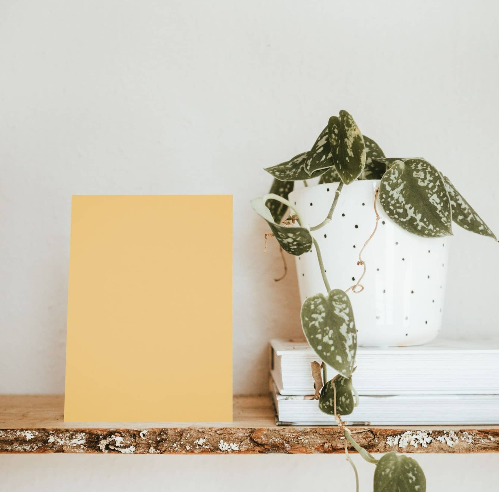 Nuancier échantillons de Jaunes