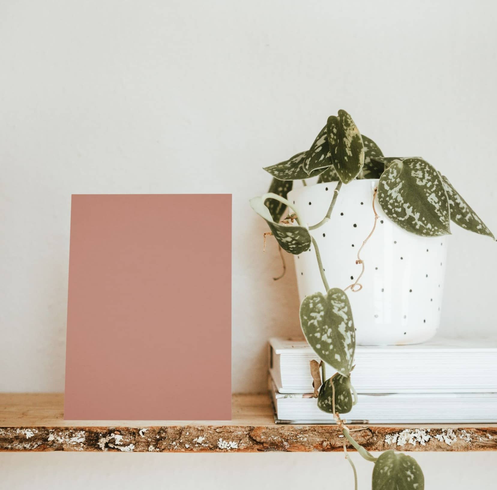 Nuancier échantillons de Roses