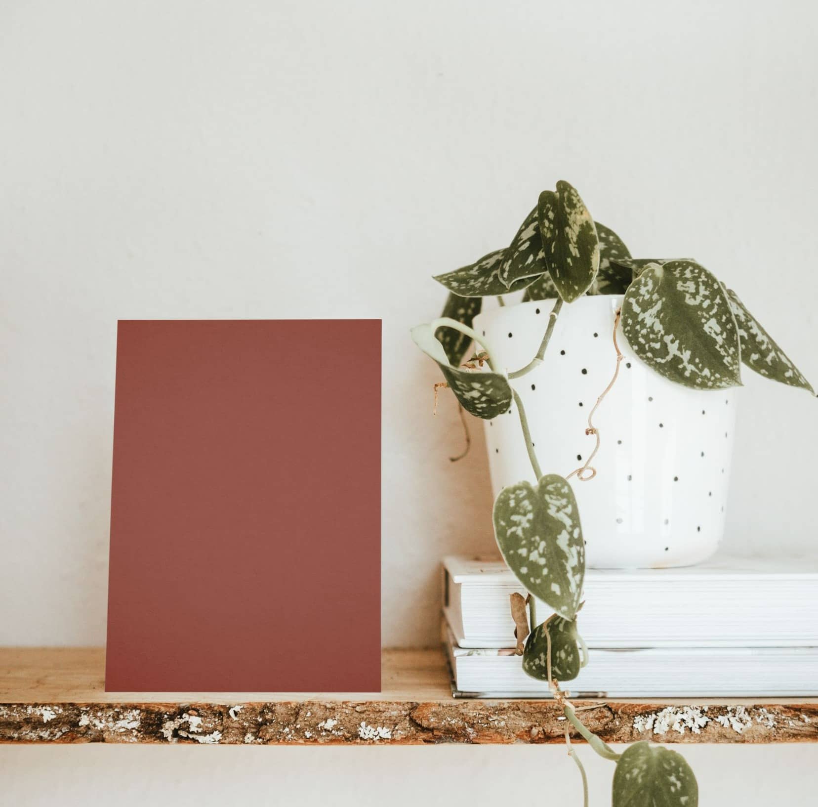 Nuancier échantillons de Terracotta