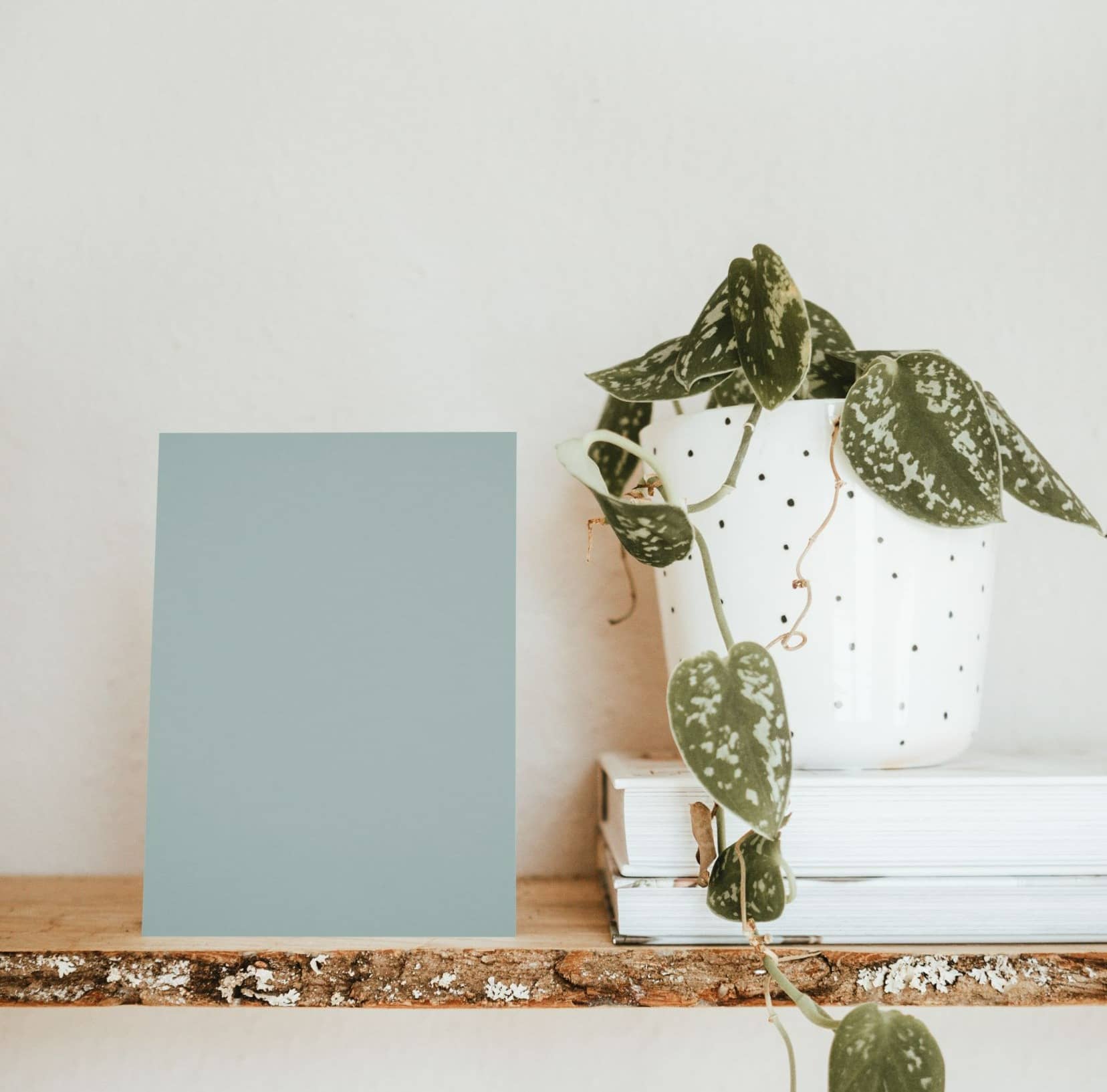 Nuancier échantillons de Gris