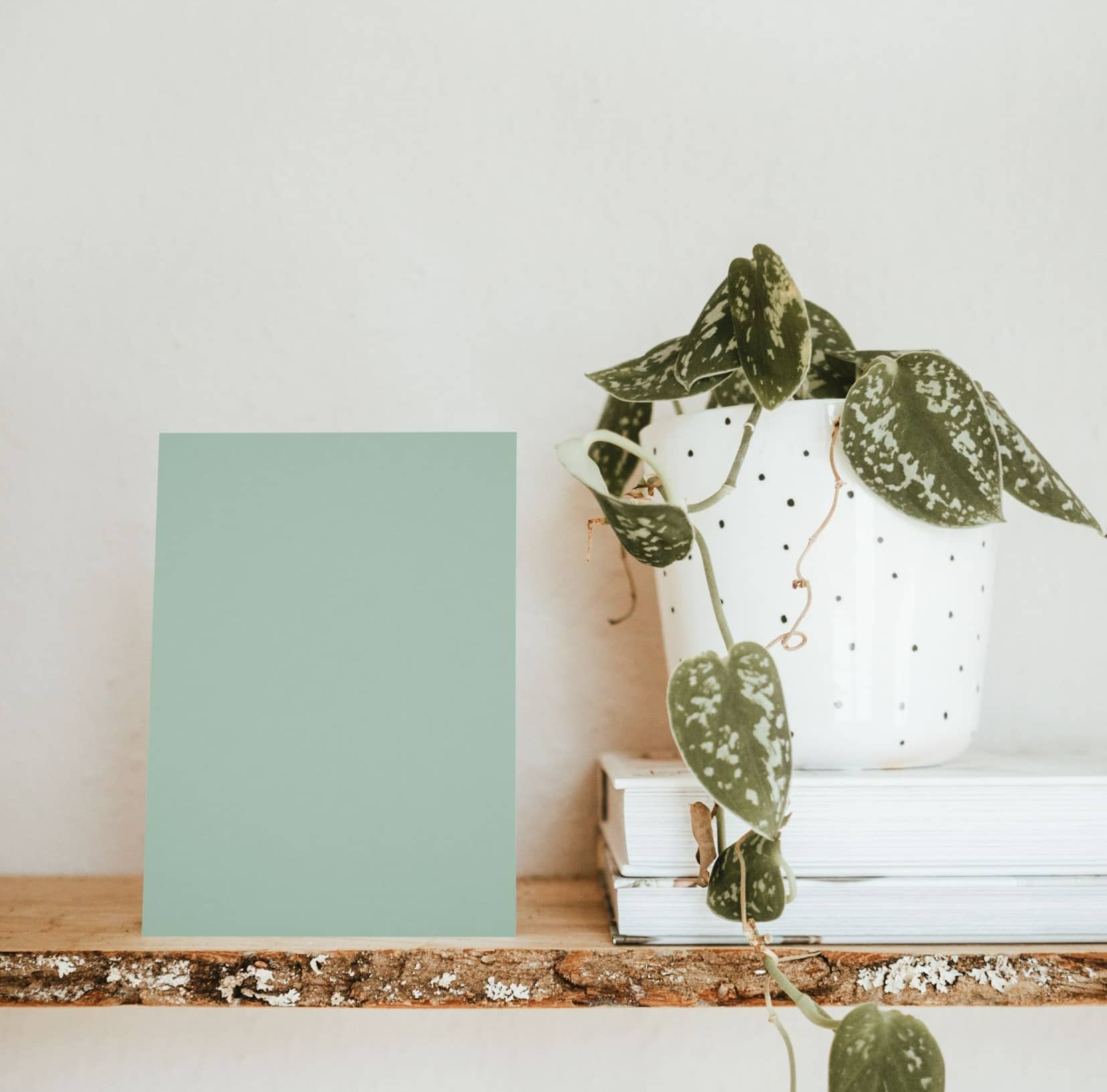 Nuancier échantillons de Verts