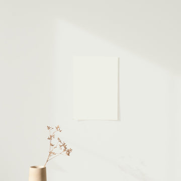 Warm White Color Chart Sample