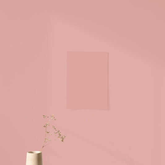 Aurore Rose Color Chart Sample
