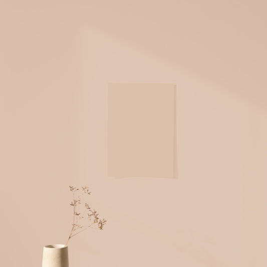 Beige Rope Color Chart Sample