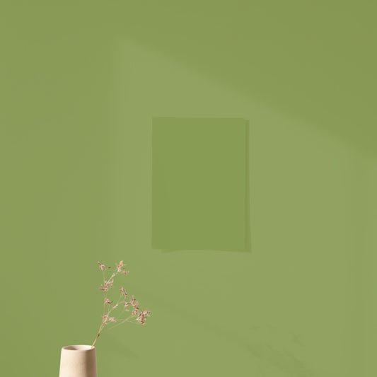 Mediterranean Olive Green Color Chart Sample