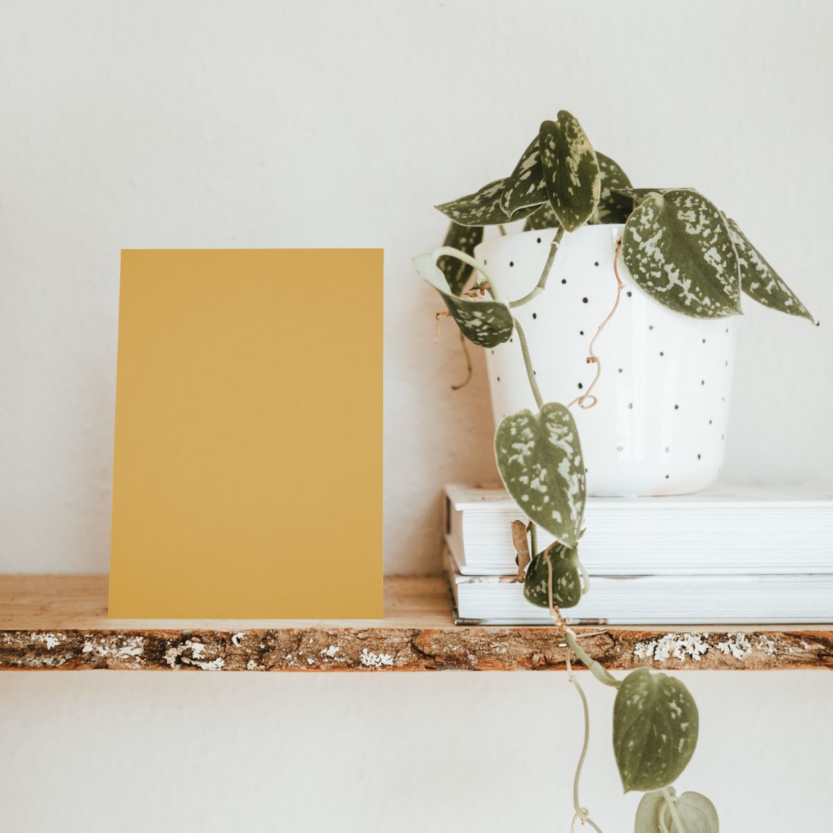 Quince Yellow Color Chart Sample