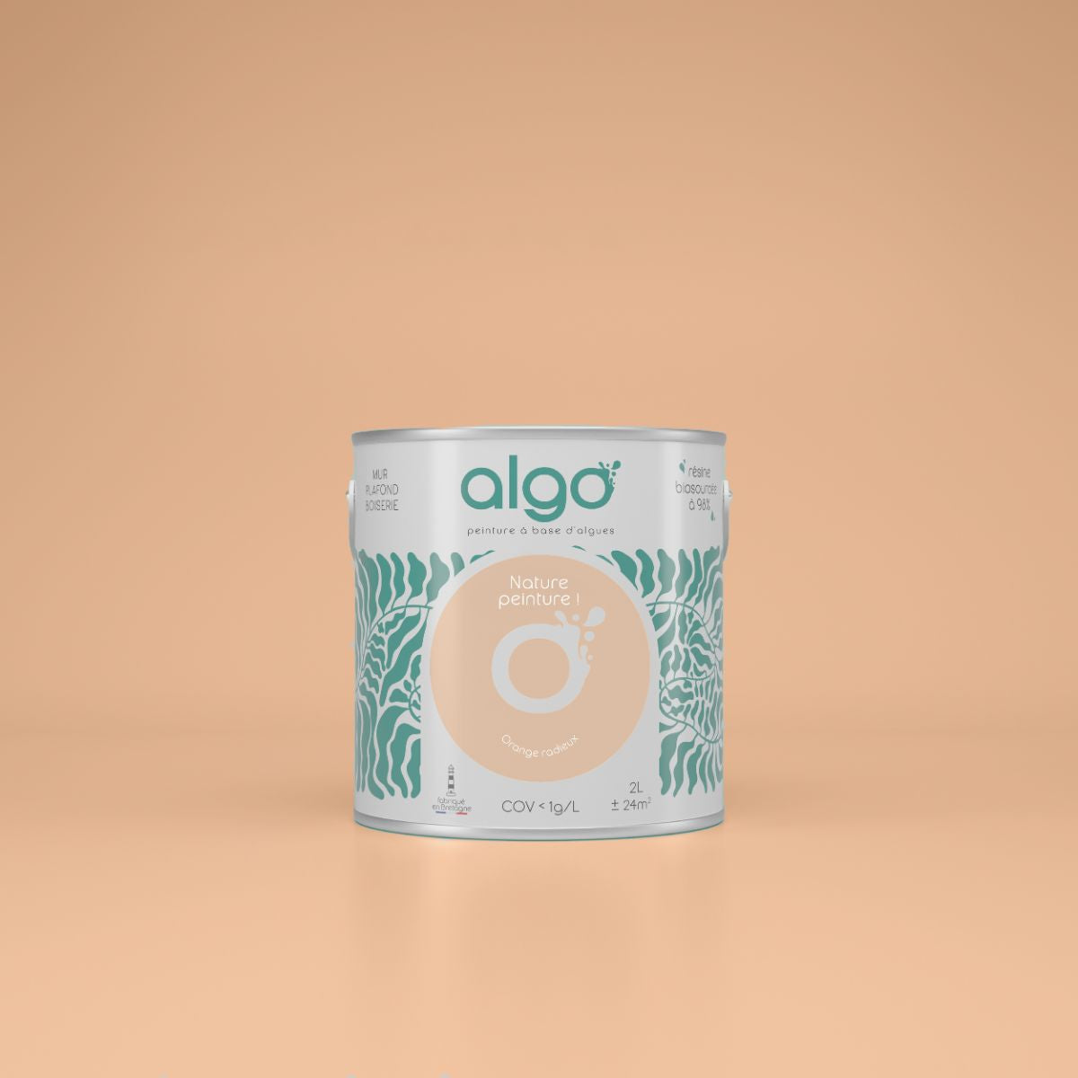 Algo Eco-Friendly Paint - Radiant Orange