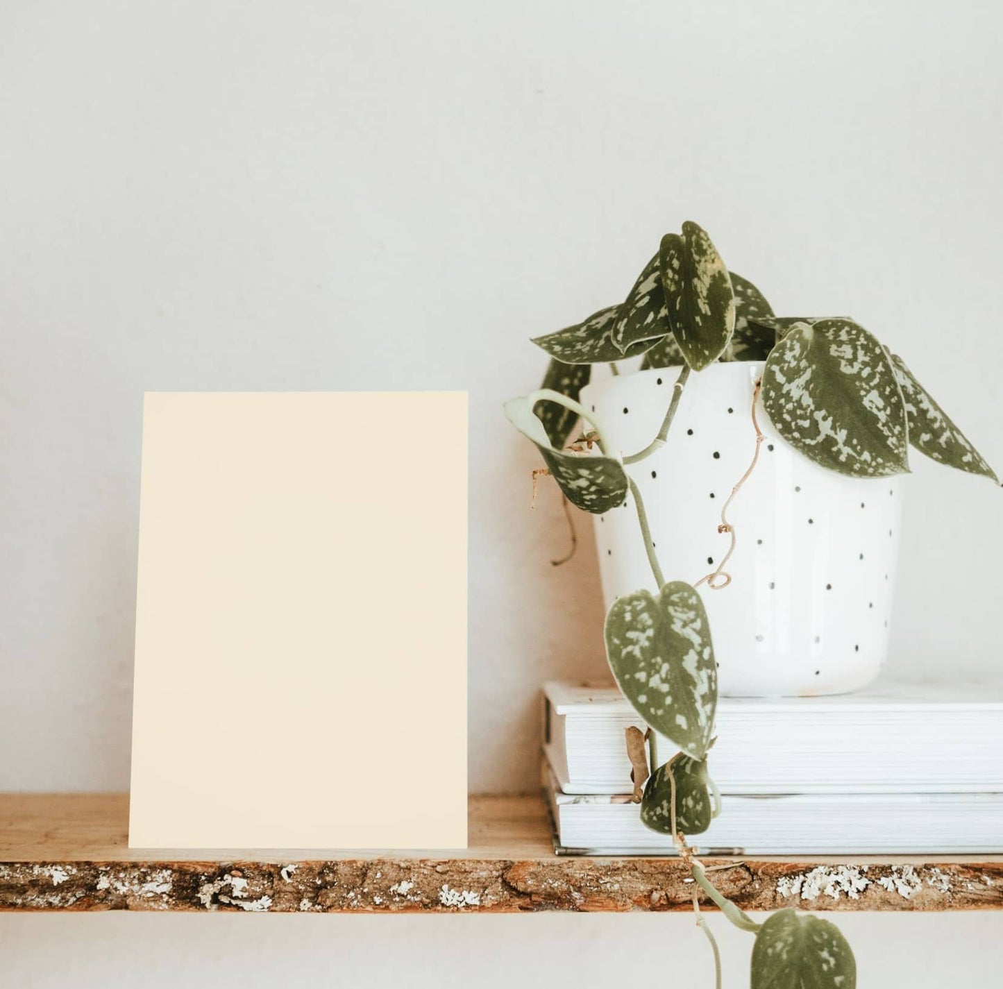 Charming Almond Beige Color Chart Sample