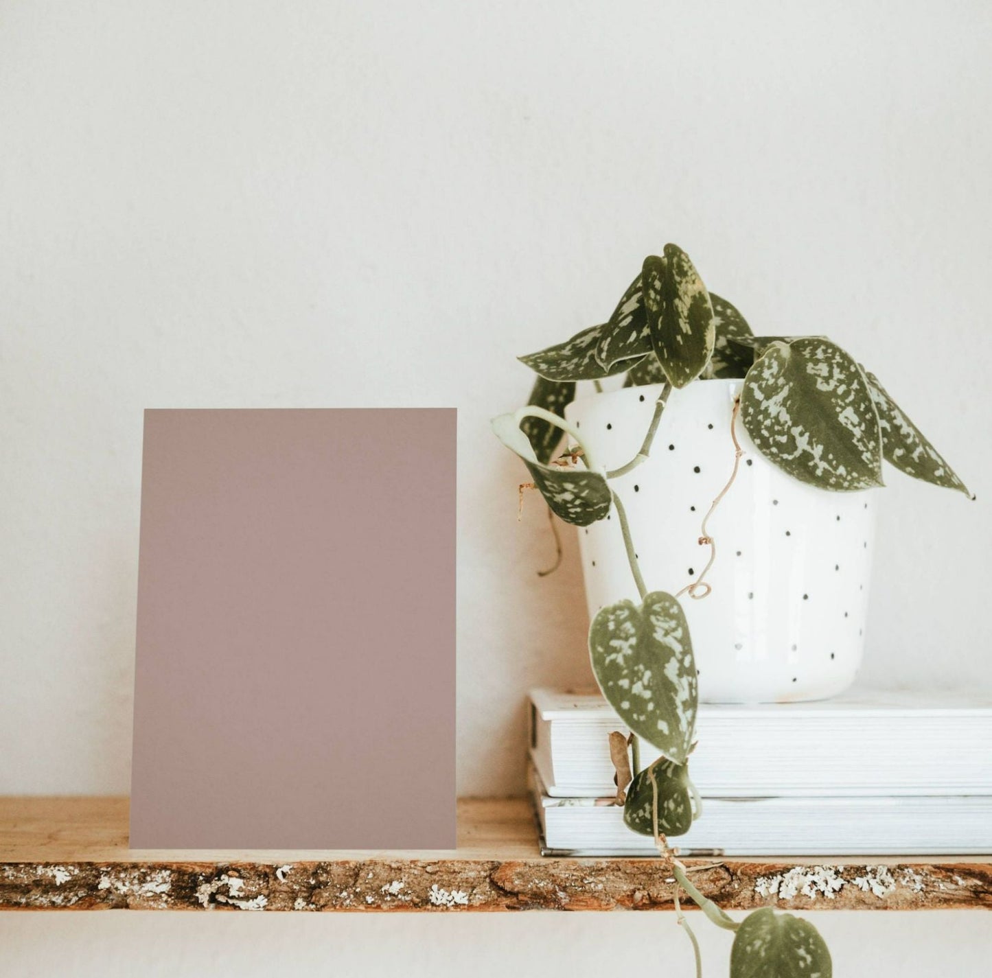 Batz Brown Color Chart Sample