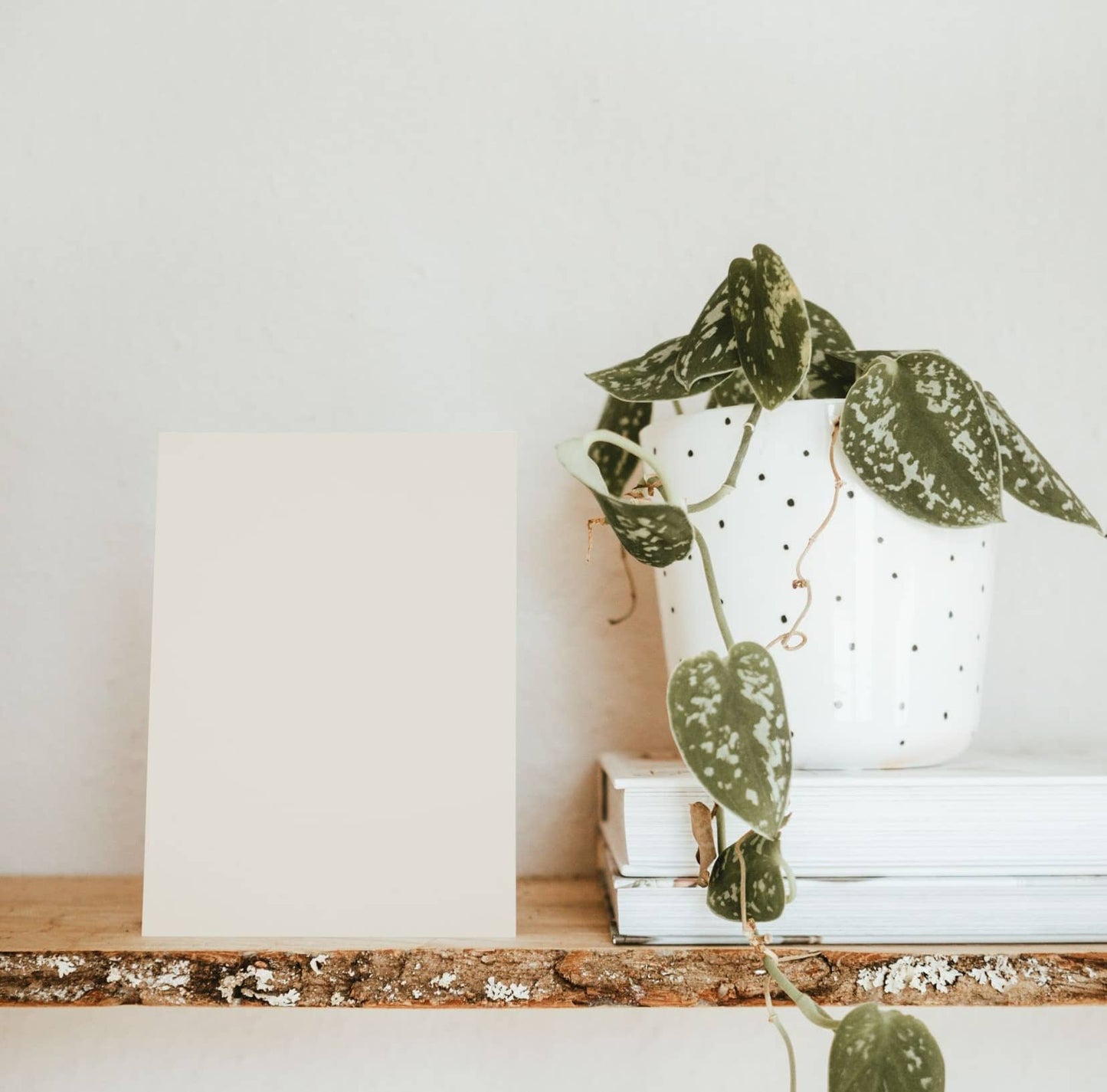 Linen Fields Beige Color Chart Sample