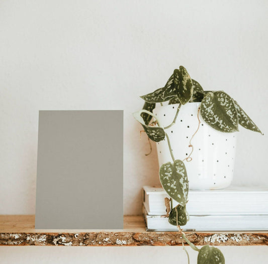 Elegant Taupe Beige Color Chart Sample