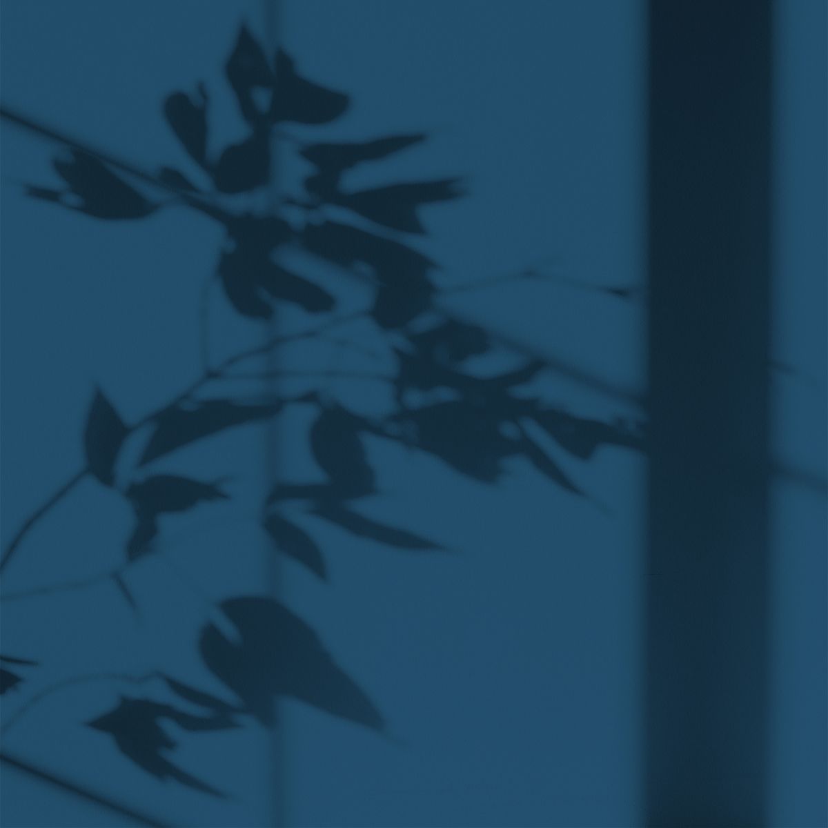 Algo Eco-Friendly Paint - Abyss Blue