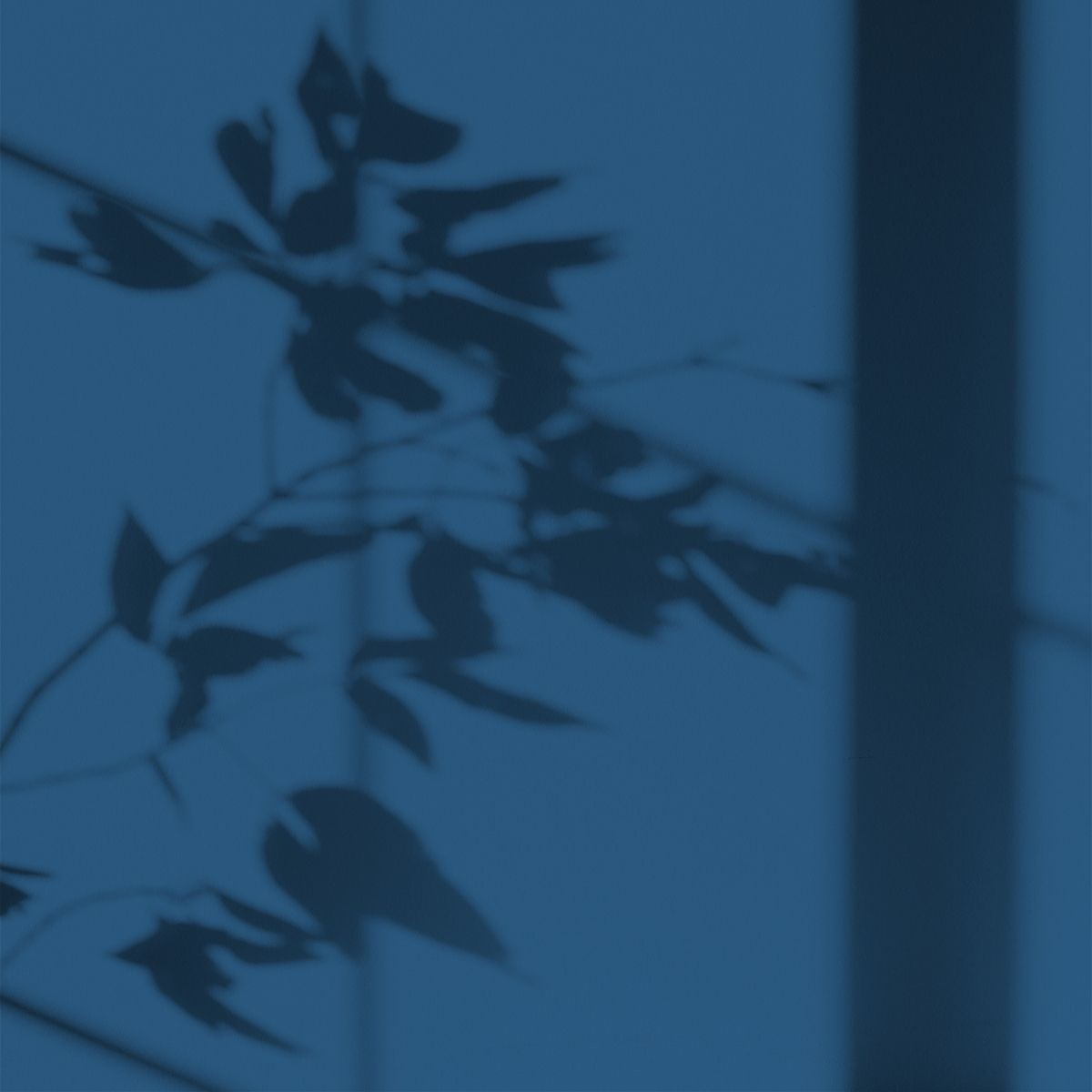 Algo Eco-Friendly Paint - Atlantic Blue