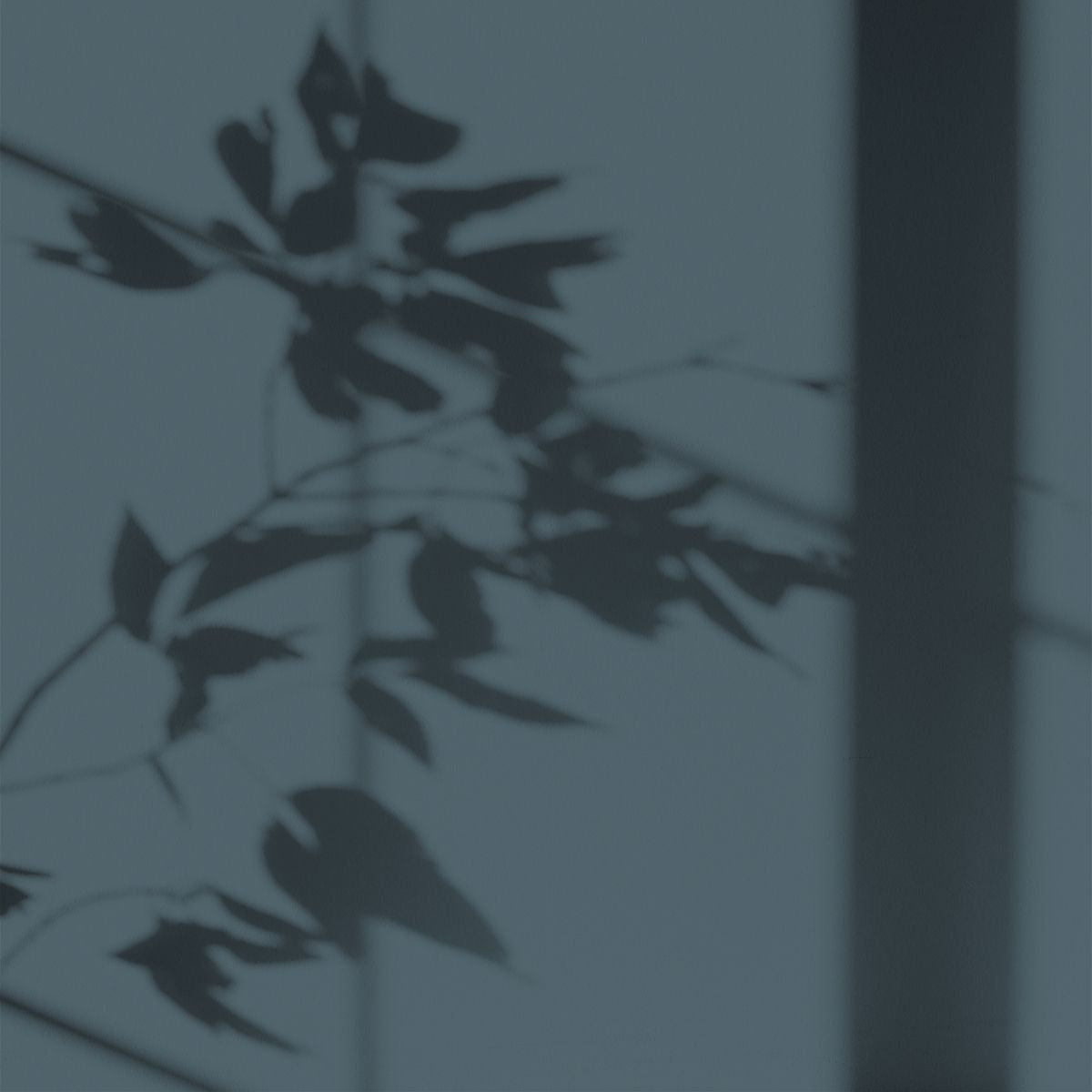 Algo Eco-Friendly Paint - Pacific Blue