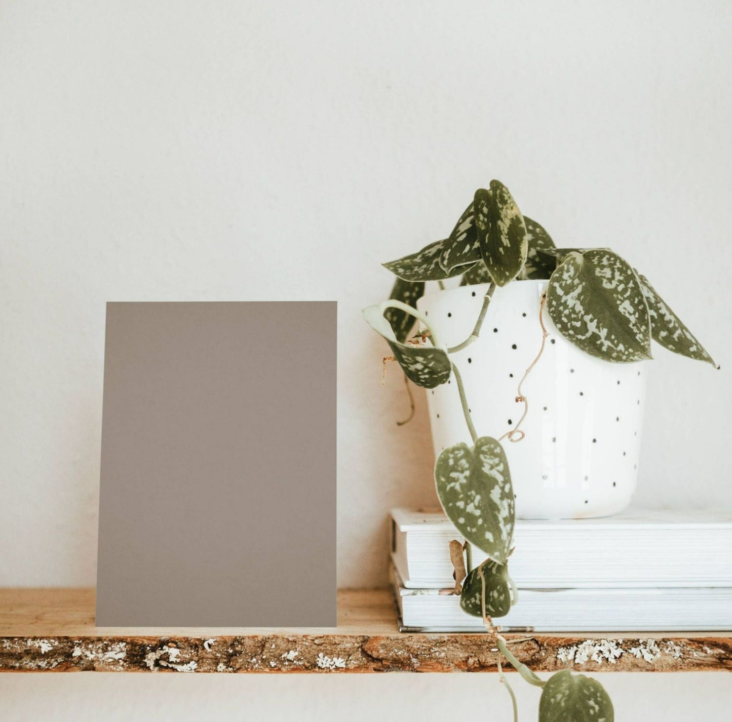 Brown Grey Color Chart Sample