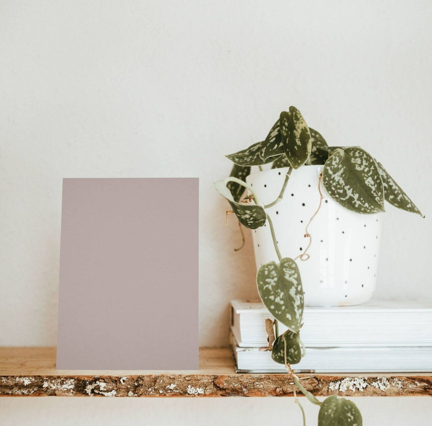 Pinkish Brown Color Chart Sample