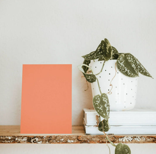 Orange Weekend Brunch Swatch Chart