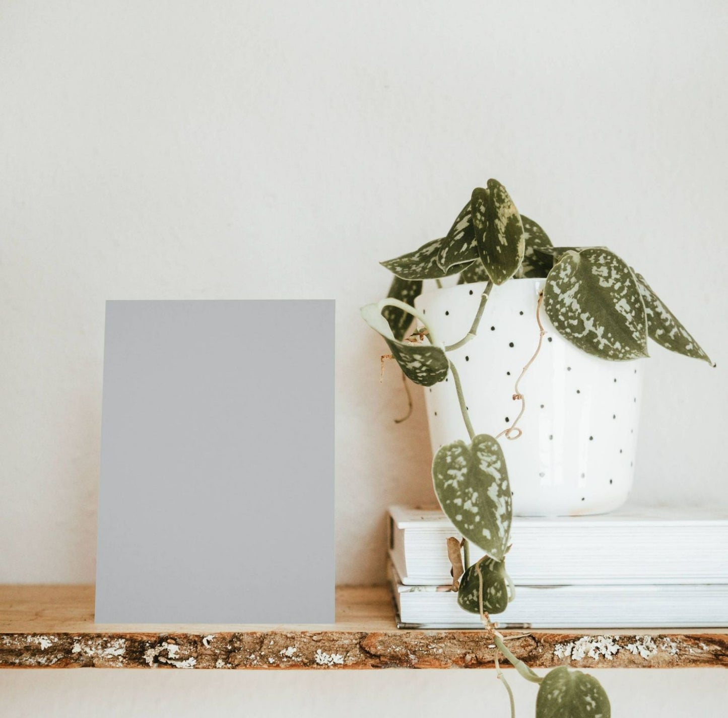 Cézembre Grey Color Chart Sample