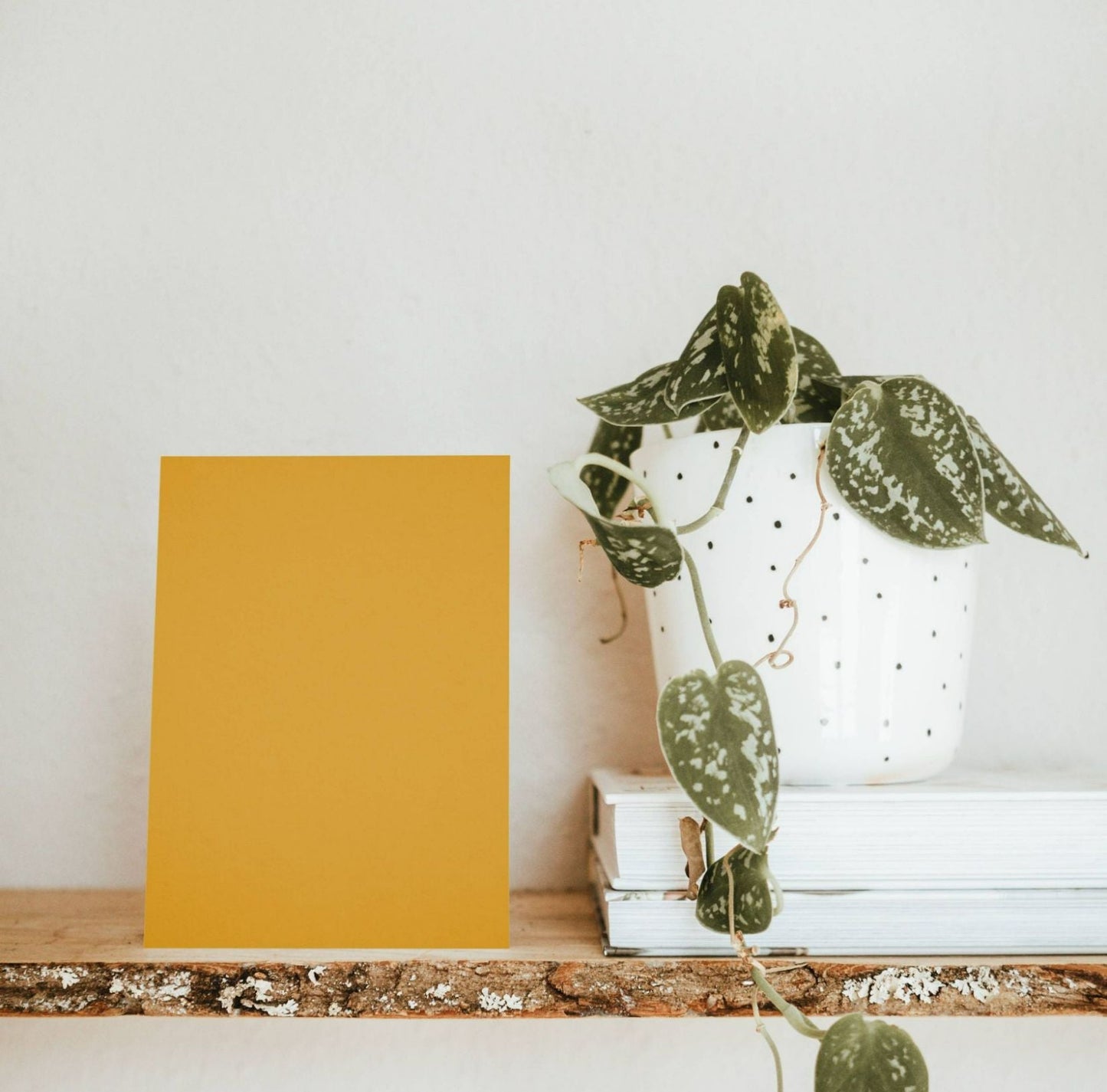 Sunny Lemon Yellow Color Chart Sample