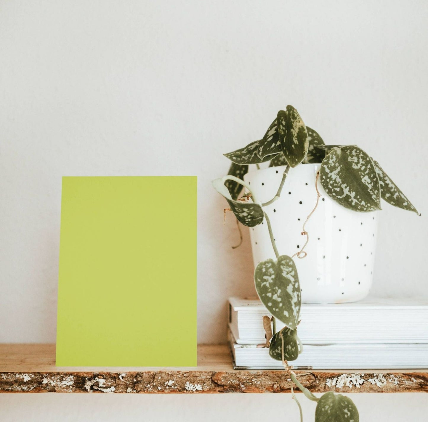 Glénan Green Color Chart Sample