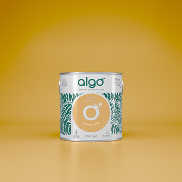 Algo Eco-Friendly Paint - Quince Yellow
