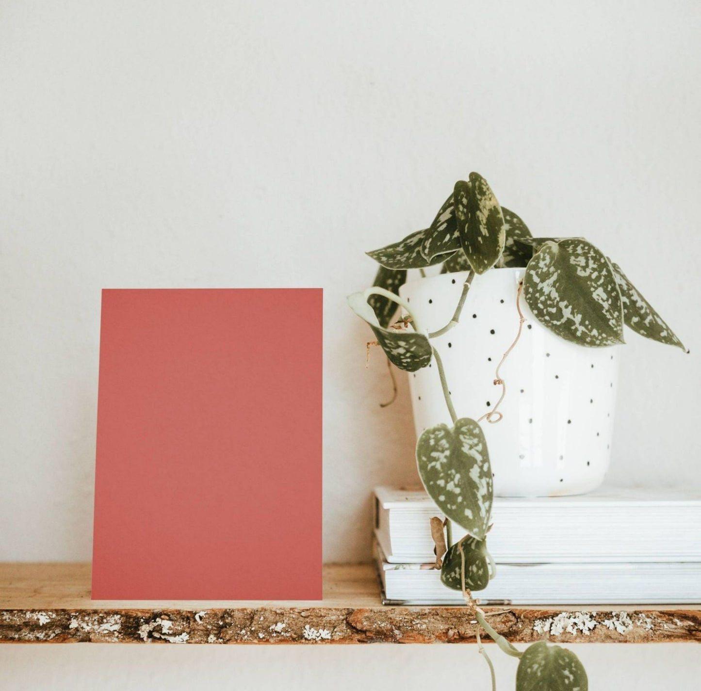 Kahouanne Orange Color Chart Sample