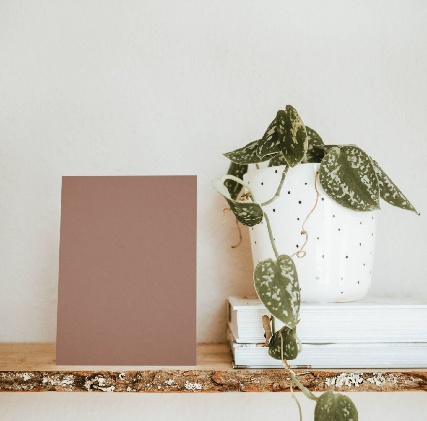 Praline Brown Color Chart Sample