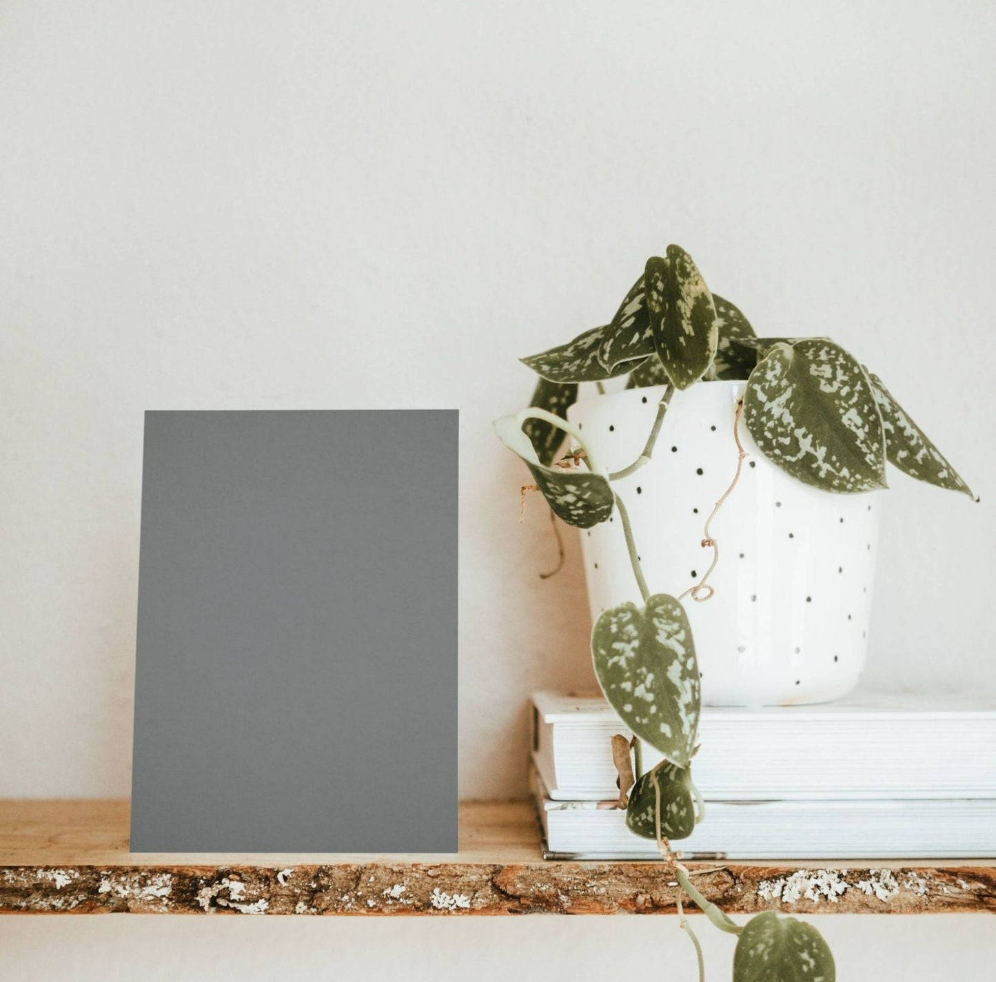 Meaban Gray Color Chart Sample