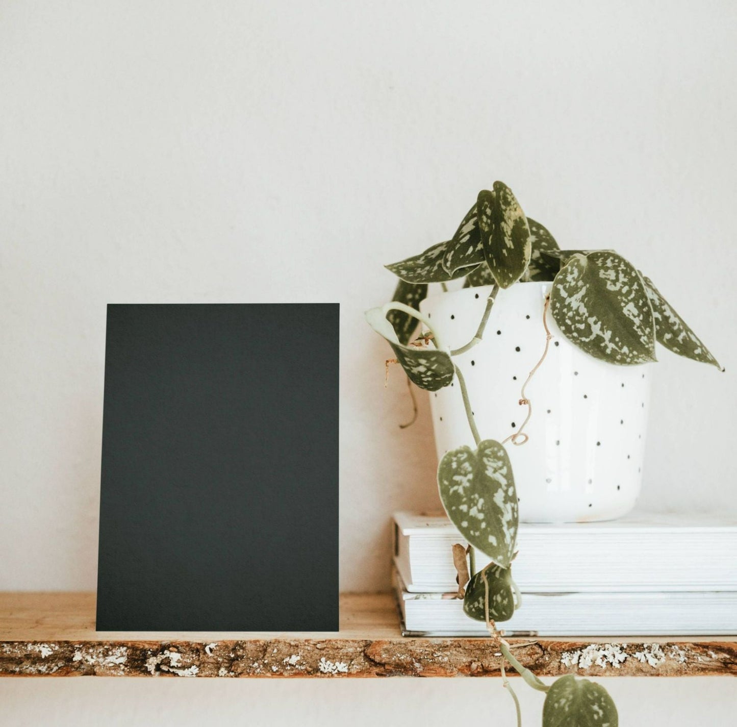 Brocéliande Black Color Chart Sample