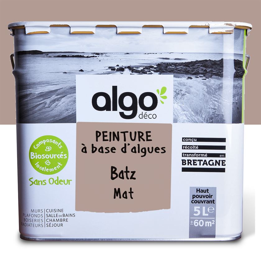 Peinture écologique Algo - Marron Batz