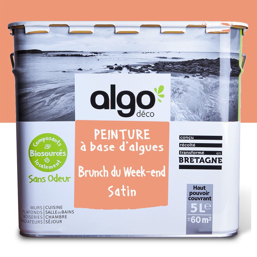 Peinture écologique Algo - Orange Brunch du week-end