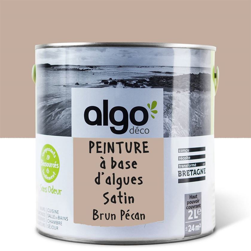 Algo Eco-Friendly Paint - Pecan Brown