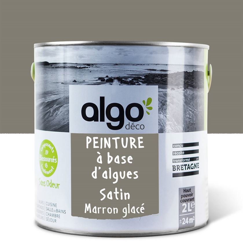 Algo Eco-Friendly Paint - Iced Brown