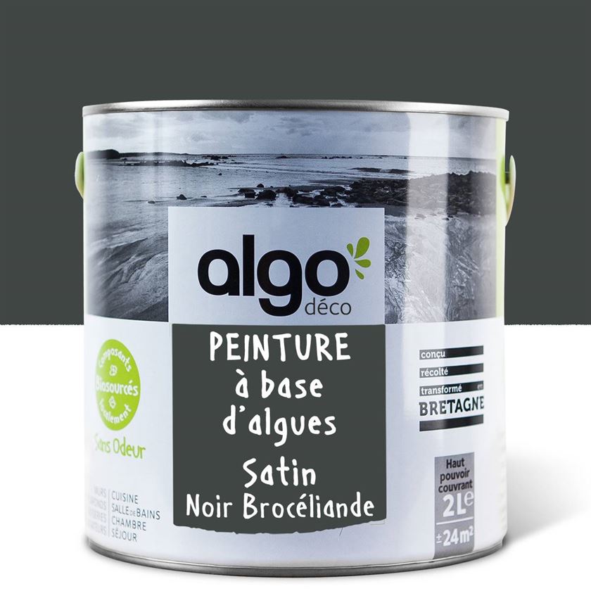 Peinture écologique Algo - Noir Brocéliande