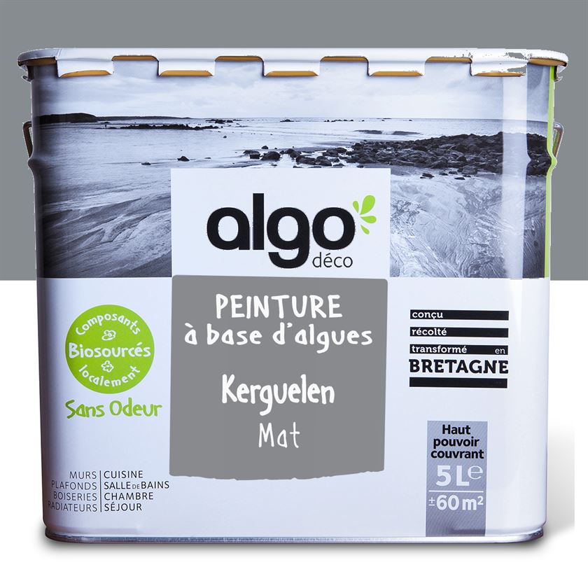 Peinture écologique Algo - Gris Kerguelen