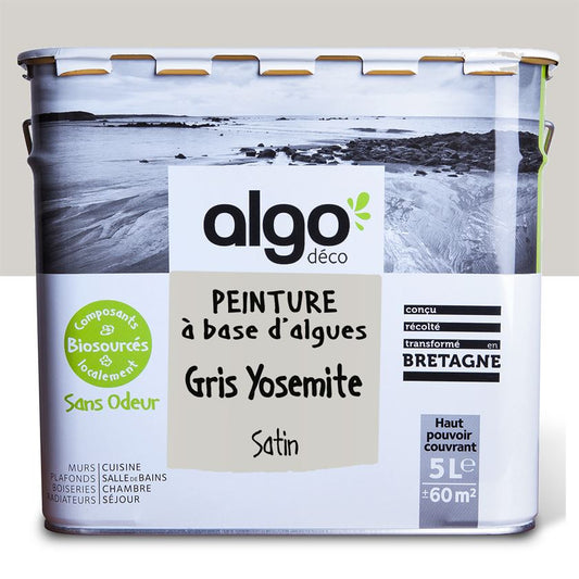 Algo Eco-Friendly Paint - Yosemite Gray