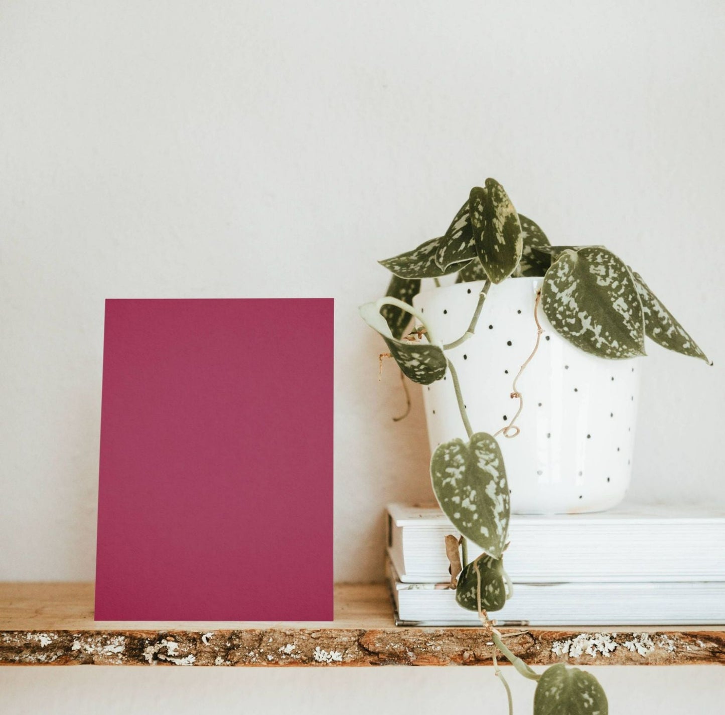 Exuberant Pink Color Chart Sample