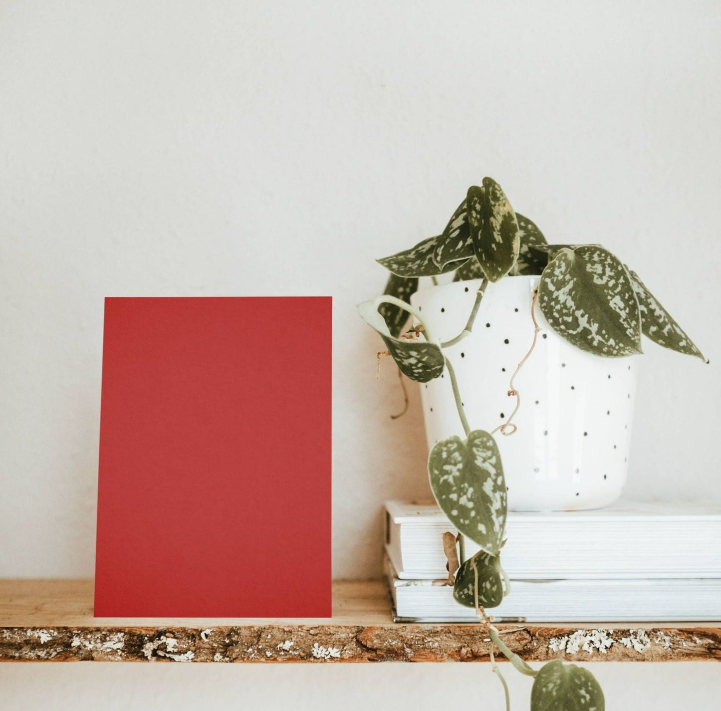 Naughty Red Color Chart Sample