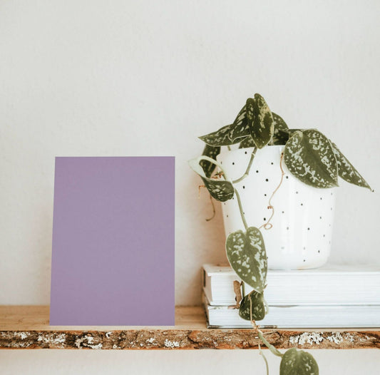 Mauve Saint Pierre and Miquelon Color Chart Sample