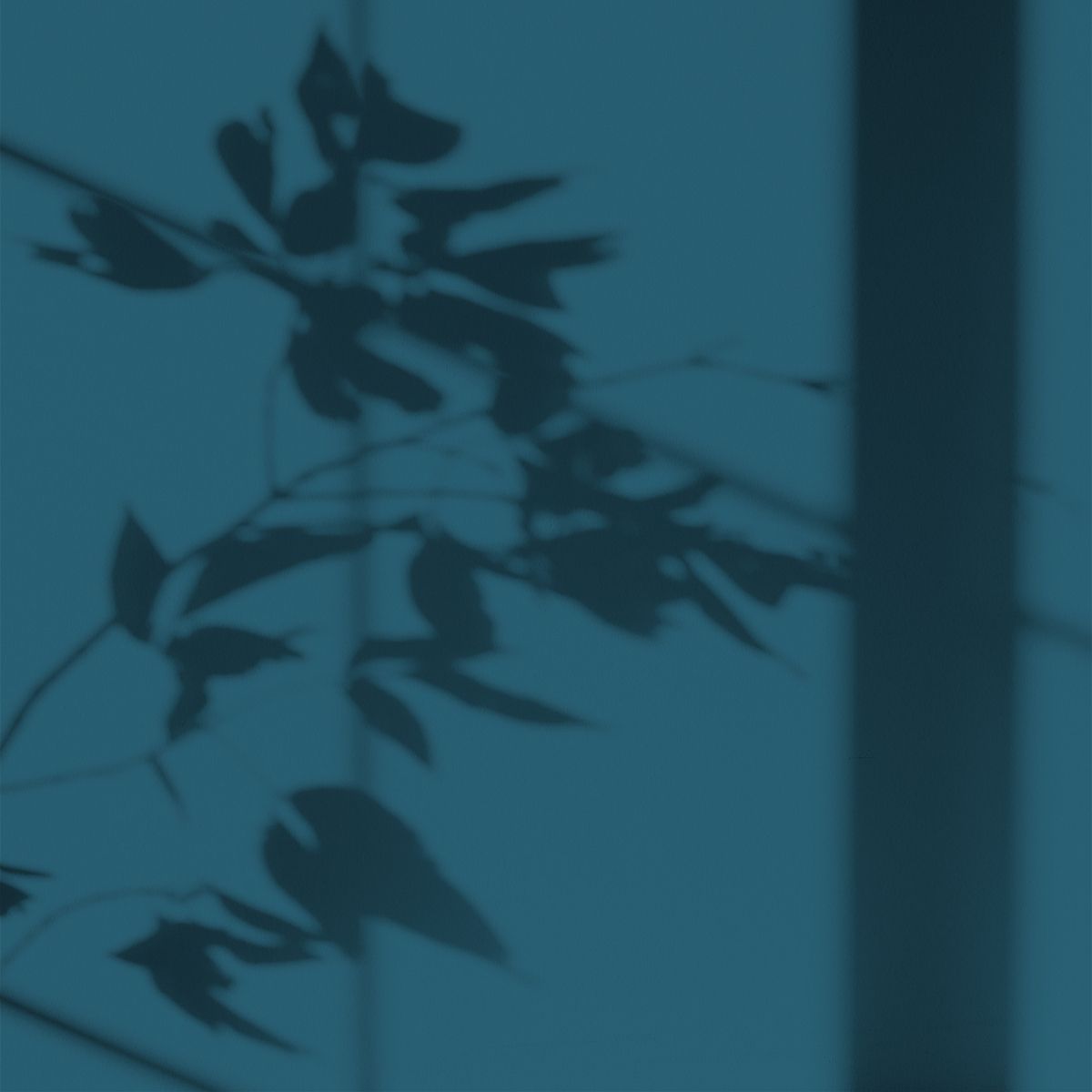 Algo Eco-Friendly Paint - Sea Trip Blue