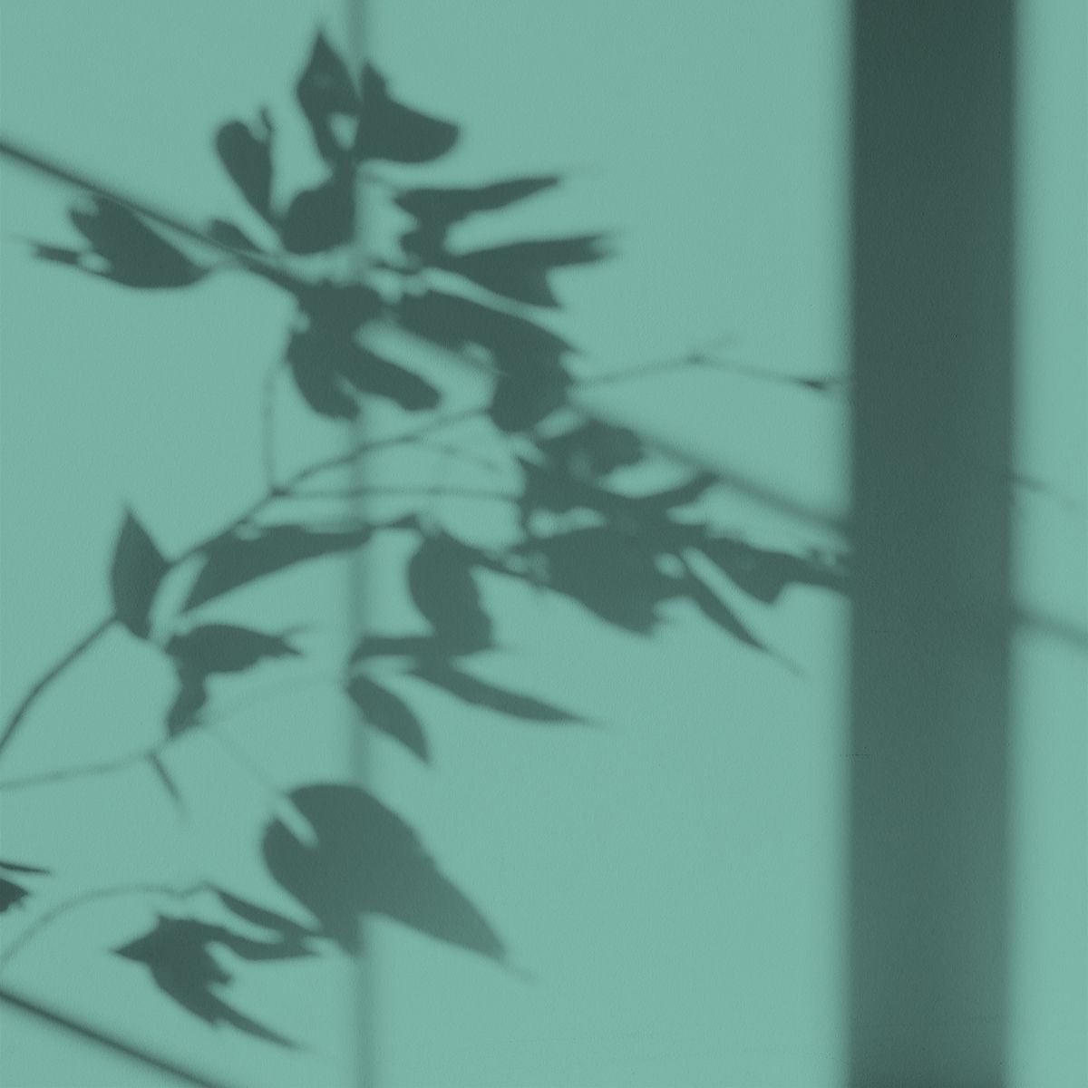 Algo Eco-Friendly Paint - Blue-Green Tatihou