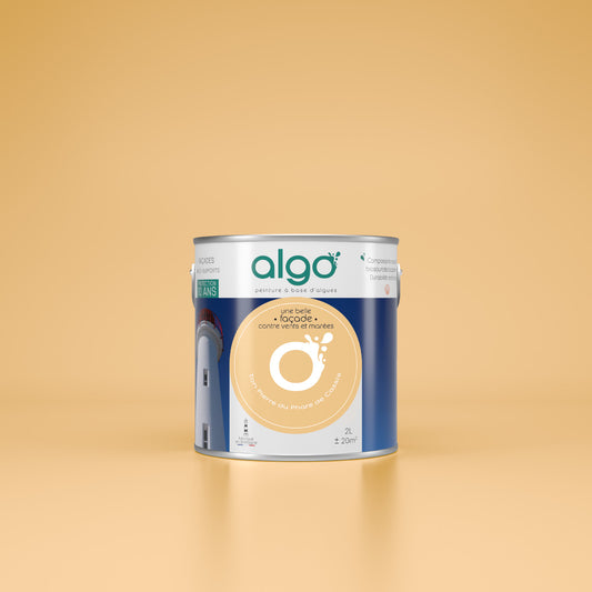 Exterior facade paint Algo Yellow - based on scallops Ton Pierre du Phare de Cassis