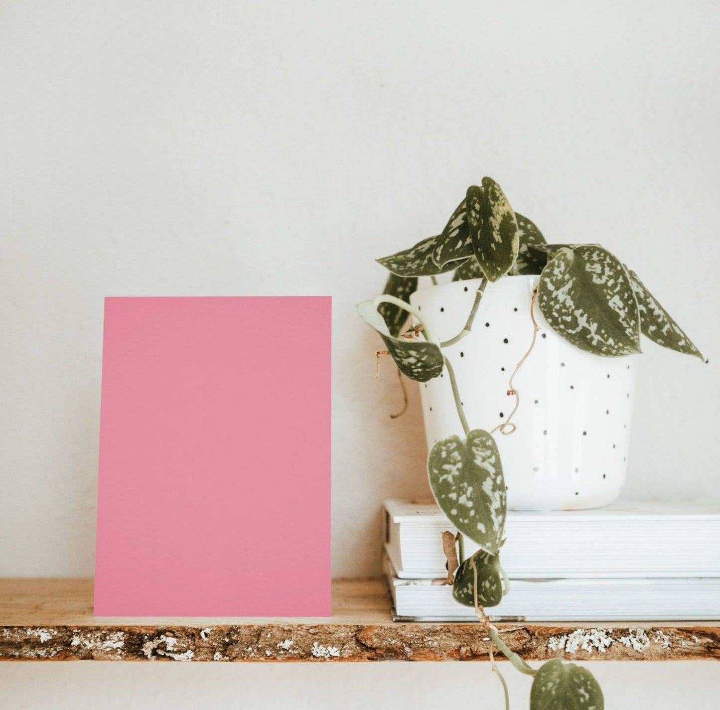 Pink Color Chart Sample One minute and I'll be there