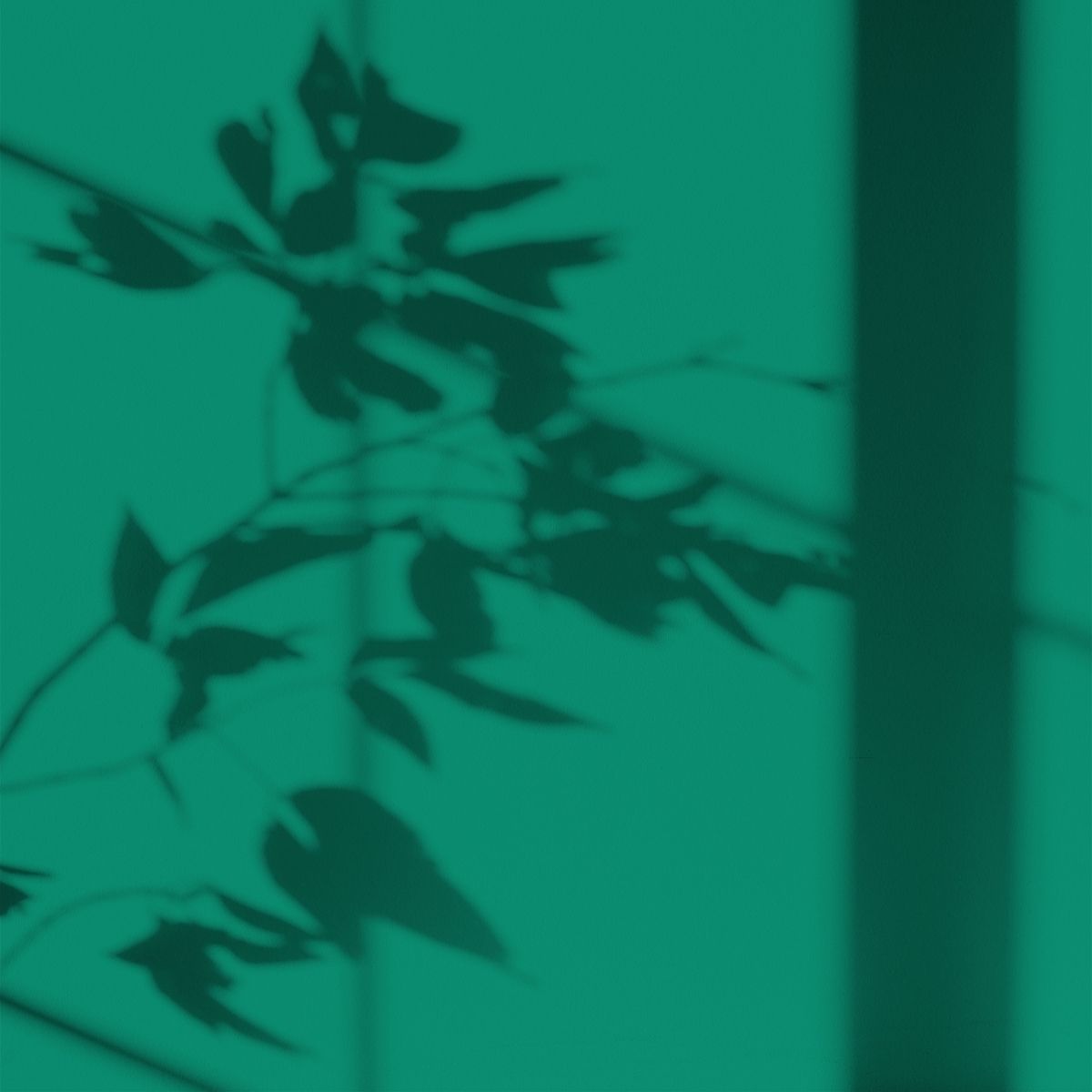 Algo Eco-Friendly Paint - Algae Green