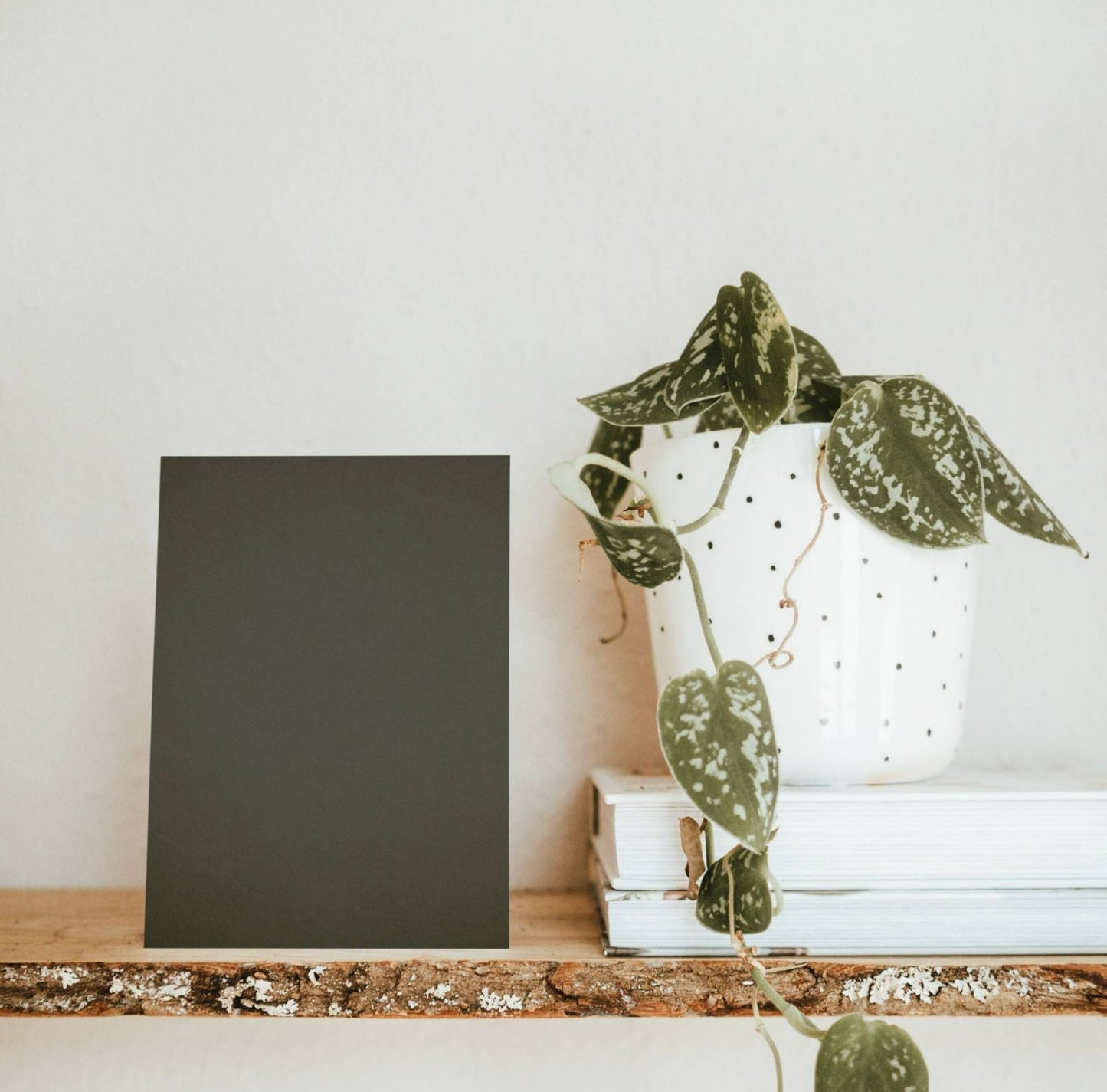 Mysterious Green Color Chart Sample