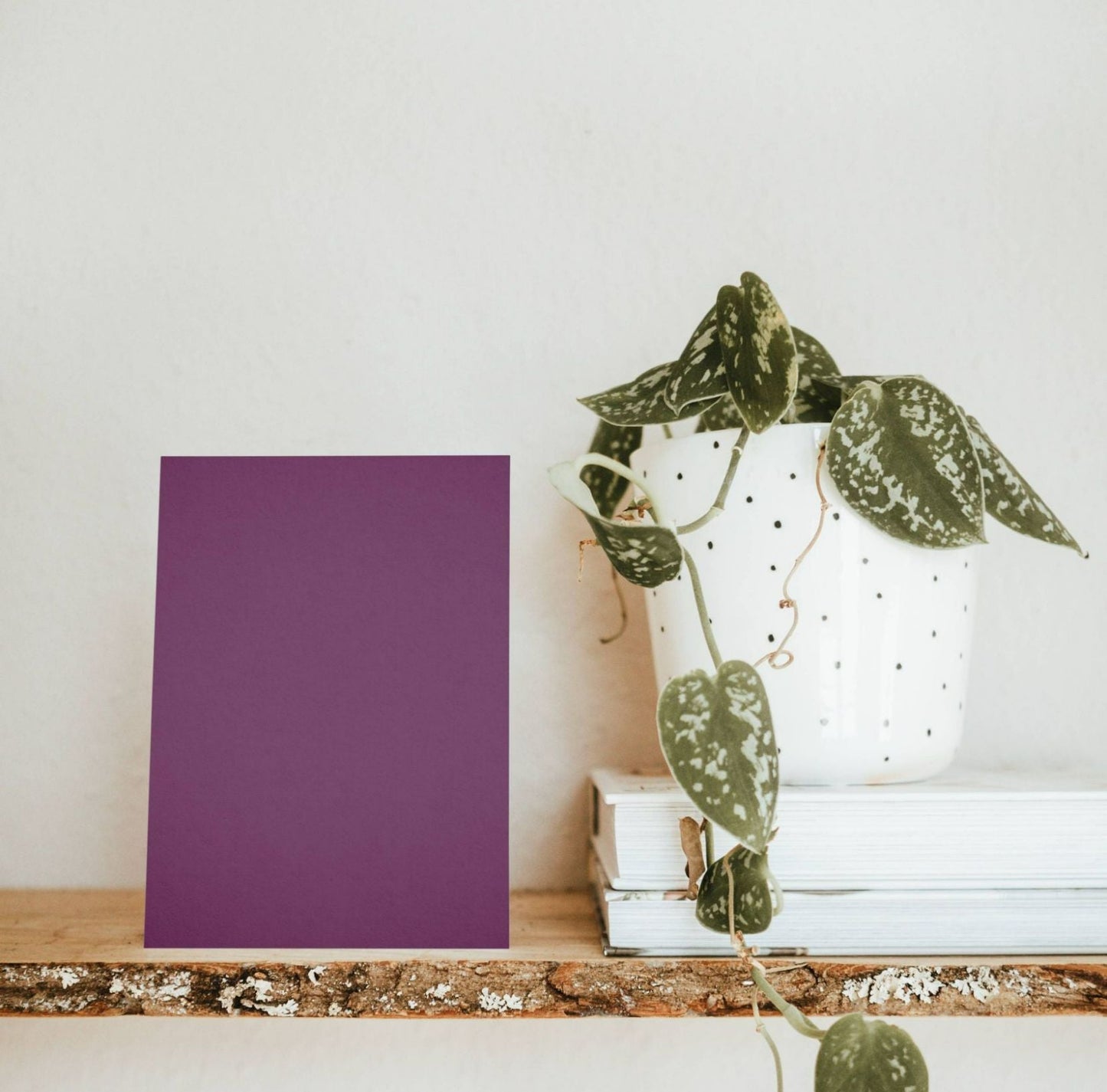 Eggplant Purple Color Chart Sample